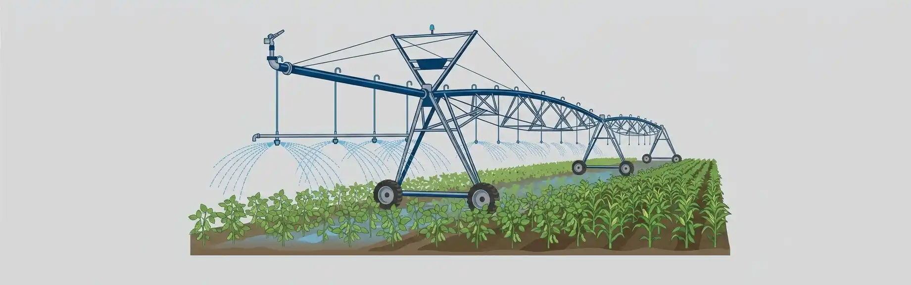 Ilustração de uma máquina agrícola para irrigação sobre canteiros de cultivo, com sistema de aspersão e mangueiras passando sobre as plantas verdes no campo.